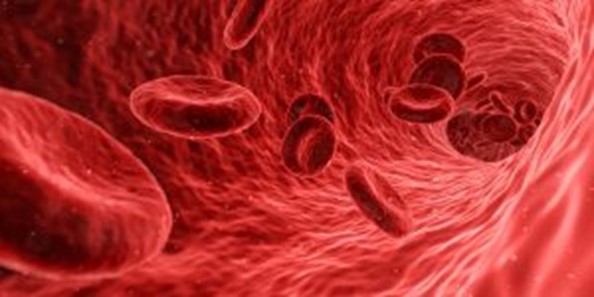 platelet rich plasma therapy and injections